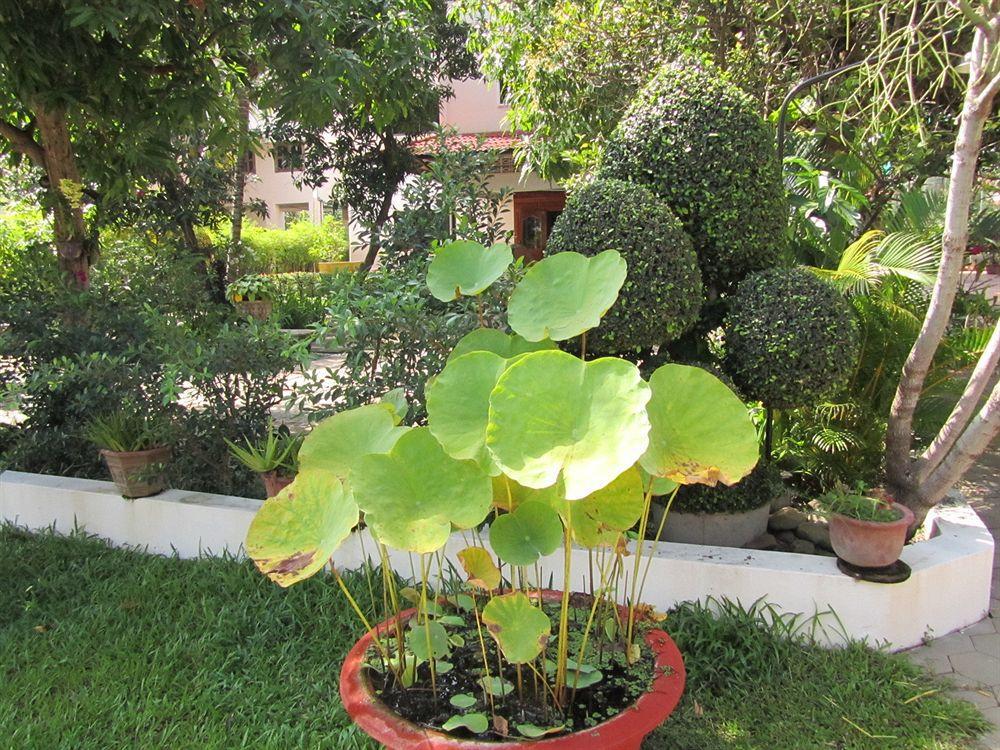 Les Bambous Luxury Hotel Siem Reap Extérieur photo